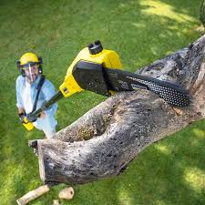 Organic Lawn Care Solutions in Sundown, TX